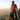 Break the Chains – Build a Life Essential Tee - Heather Red Graphic Print T Shirt - Sobervation