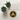Gold Sobriety Symbol Embroidered Patch - Iron-On Sew-On Pin - Black | Sobervation