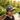 Gratitude Embroidered Dad Hat – Graffiti Sobriety Symbol - Green Camo Classic Dad Hat - Sobervation
