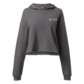 Gratitude Embroidered Crop Hoodie – Graffiti Sobriety Symbol - Storm / S | Sobervation