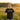 Gratitude Organic Tee – Recovery Symbol Graffiti Edition - Black Women's Organic Ribbed Neck Tee - Sobervation