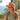 Just For Today (TRY) – Retro Trucker Hat - Rustic Orange/ Khaki Retro Trucker Hat - Sobervation