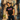 NOPE Pink Graffiti Sobriety Symbol Tee – Heavyweight Recovery Apparel - S Heavyweight Graphic Print Tee - Sobervation