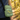 One Day at a Time Turtle Crossbody Bag | Steady Journey Recovery Bag - Cross Body Bag - Sobervation