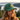 One Day at a Time Turtle Trucker Hat – Steady Sobriety Journey - Evergreen Retro Trucker Hat - Sobervation