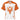 Phoenix Reborn Custom Football Jersey – Personalized Recovery Sportswear - 2XS | Sobervation