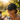 Rainbow Sobriety Symbol Dad Hat - Pride Recovery Embroidered Cap - Black | Sobervation