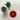 Red Sobriety Symbol Embroidered Patch - Iron-On Sew-On Pin - Black | Sobervation