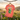 Serenity Cub Essential Tee – Green Edition (Stop and Smell the Growth) - Coral Silk Graphic Print T Shirt - Sobervation