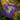 Serenity Cub Essential Tee – Green Edition (Stop and Smell the Growth) - Purple Graphic Print T Shirt - Sobervation