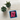 SOBER AF Pink Embroidered Patch - Iron-On Sew-On Pin - Black | Sobervation