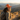 Sober AF Trucker Hat – Bold Sobriety Recovery Cap - Rustic Orange/ Khaki Retro Trucker Hat - Sobervation