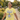 Sober Champion Essential Tee – One Day at a Time - Cornsilk Graphic Print T Shirt - Sobervation