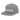 SOBER - Embroidered Snapback Hat - Silver Classic Snapback - Sobervation