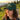 Sober, Not Boring! - Embroidered Dad Hat | Recovery Headwear - Spruce Classic Dad Hat - Sobervation