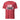 Stay Sober – Distressed Print Essential Tee - Heather Red Graphic Print T Shirt - Sobervation