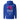 Wings of Recovery – Brain Clarity Hoodie - Team Royal Embroidered Hoodie - Sobervation
