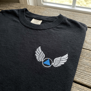 Wings of Recovery Embroidered Heavyweight Tee – AA Symbol Apparel - Black Heavyweight Embroidered Tee - Sobervation
