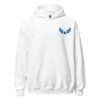 Wings of Recovery Embroidered Hoodie – AA Symbol Recovery Apparel - S | Sobervation