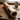 Ego Sobriety Poster | Shadow Boxing Art Print | Sober Translations 18x24 - Poster - Sobervation