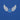 Embroidered Wings Hoodie – Cozy Courage, On Your Chest - Royal Embroidered Hoodie - Sobervation