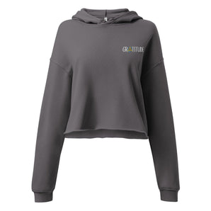 Gratitude Embroidered Crop Hoodie – Graffiti Sobriety Symbol - Storm / S | Sobervation