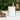 Jade Serenity Cub Mug – Rooted in the Work - mug - Sobervation