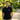 Just For Today Embroidered Polo Shirt | Hidden TRY Design Recovery Apparel | Sobervation - Black Embroidered Pique Polo Shirt - Sobervation