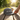 Just For Today Snapback Hat – Flat Brim Style with a Grounded Message - Dark Grey Classic Snapback - Sobervation