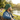 Just For Today (TRY) – Retro Trucker Hat - Evergreen Retro Trucker Hat - Sobervation