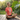 Namaste Sobriety Essential Tee | Sloth Yoga Recovery T-Shirt | Sobervation - Coral Silk Graphic Print T Shirt - Sobervation