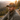 Phoenix Reborn Classic Dad Hat - Green Camo Classic Dad Hat - Sobervation