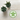 Recovery Turtle Patch – Slow & Steady Progress in Sobriety - White Patch - Sobervation