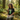 Serenity Cub Essential Tee – Green Edition (Stop and Smell the Growth) - Black Graphic Print T Shirt - Sobervation