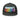 Serenity Cub Trucker Cap – Full Color Cub Lineup - Charcoal DTF Trucker Hat - Sobervation