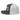 Serenity Cub Trucker Cap – Full Color Cub Lineup - Charcoal/ White DTF Trucker Hat - Sobervation