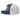 Serenity Cub Trucker Cap – Full Color Cub Lineup - Navy/ White DTF Trucker Hat - Sobervation