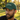 Shamrock Sober Gaelic Dad Hat - Irish Recovery Cap - Spruce Classic Dad Hat - Sobervation