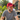 Sober AF - Embroidered Dad Hat | Recovery Headwear - Black | Sobervation