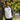 Sober Champion Embroidered Unisex 3/4 Sleeve Raglan Shirt - White/Royal / M | Sobervation