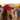 Sober, Not Boring! - Embroidered Dad Hat | Recovery Headwear - Cranberry Classic Dad Hat - Sobervation