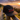 To Thine Own Self Be True Embroidered 5 Panel Cap | Recovery Streetwear | Sobervation - Black Five Panel Cap - Sobervation